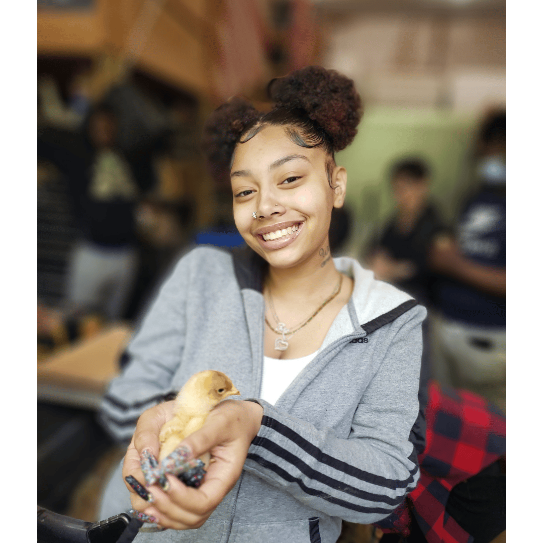 Student holds baby chick