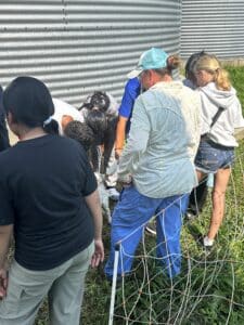 Marshall Summer School Visits Redwood River Farms