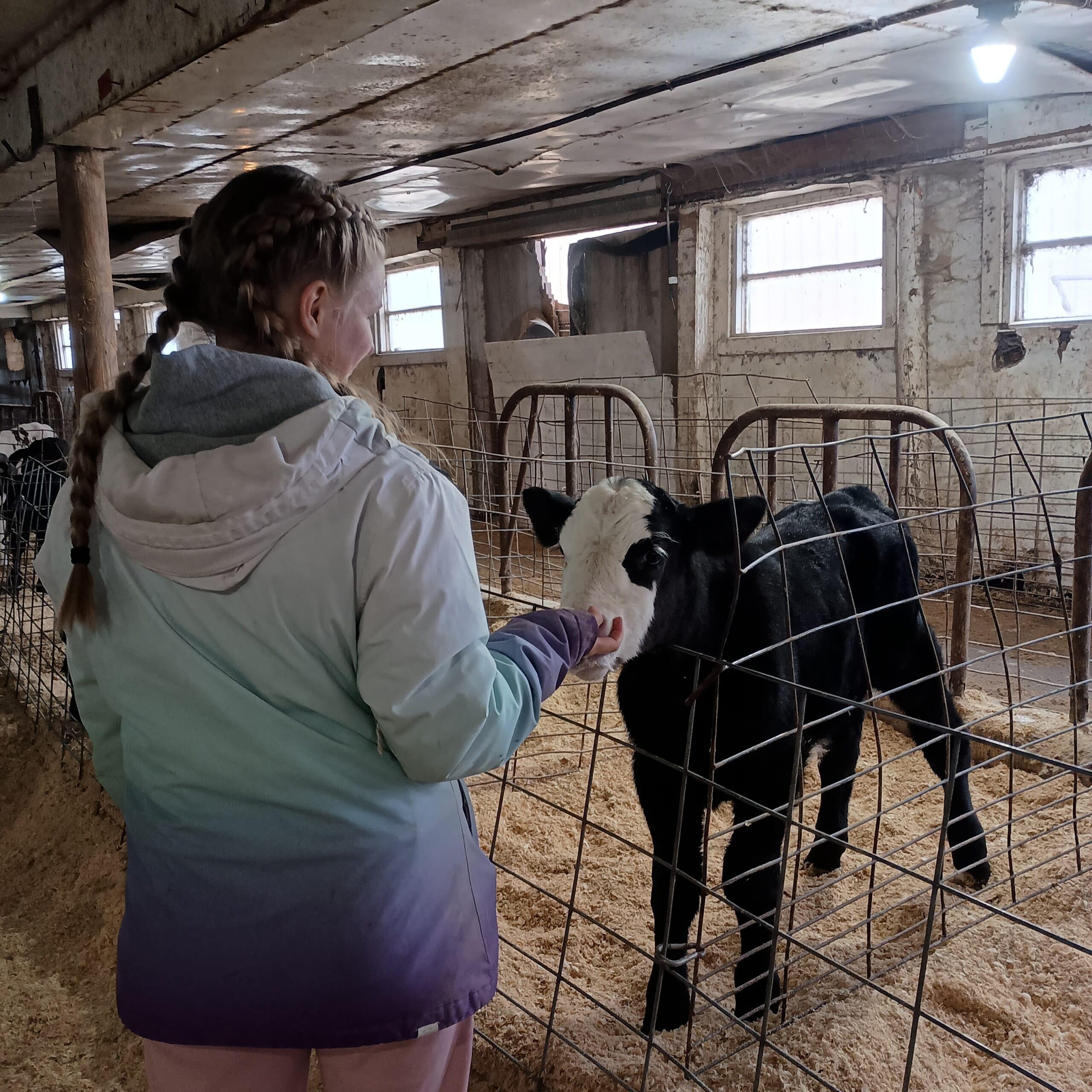 Cherry School Farm Camp
