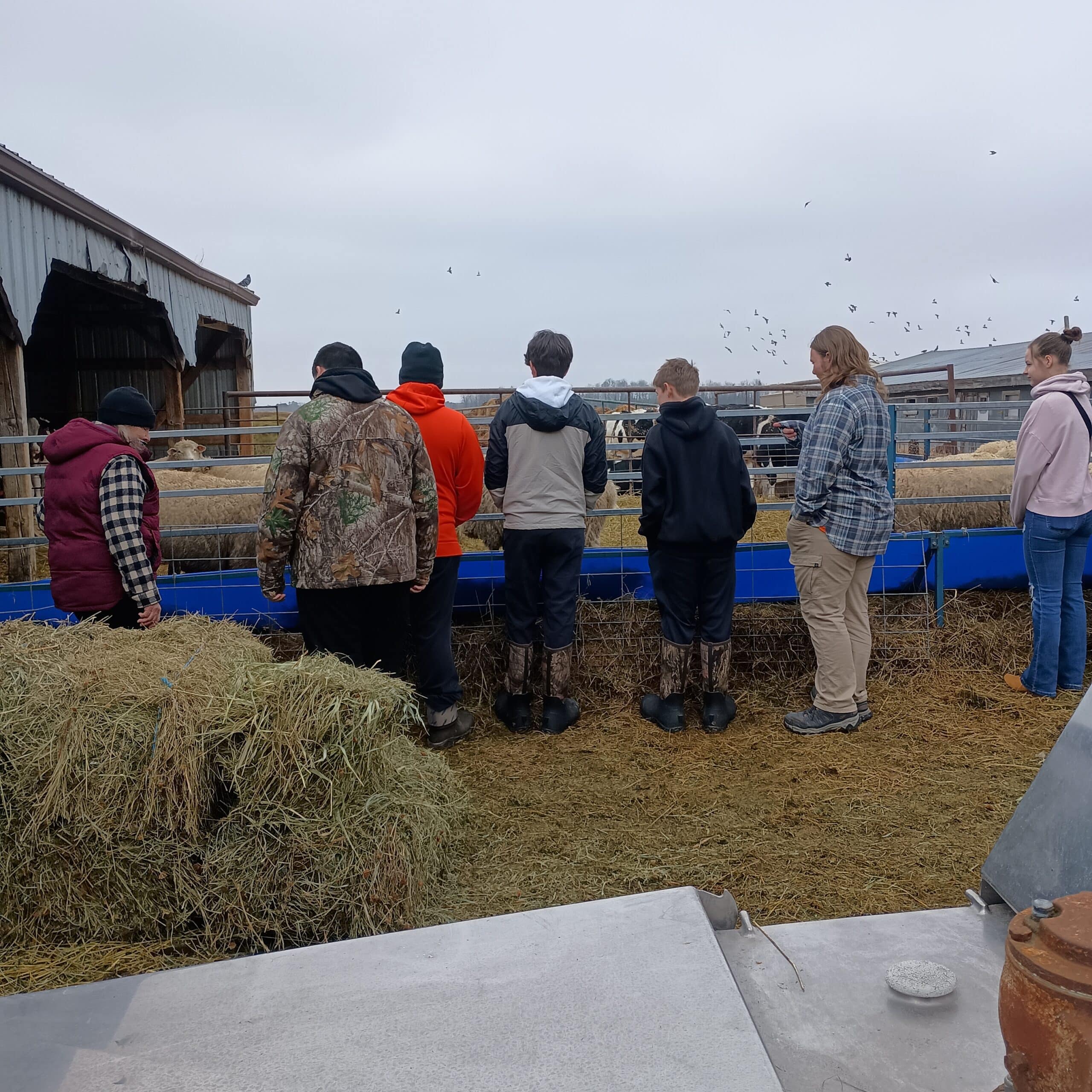 Cherry School Farm Camp