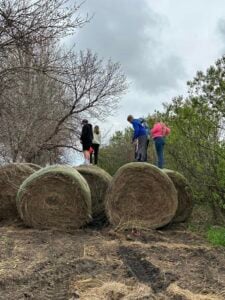 Immanuel Lutheran Students Dive into Agriculture at Farm Camp Minnesota