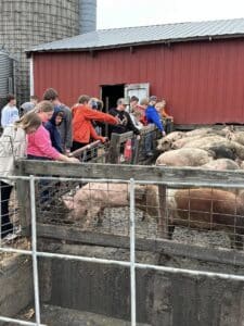 Immanuel Lutheran Students Dive into Agriculture at Farm Camp Minnesota