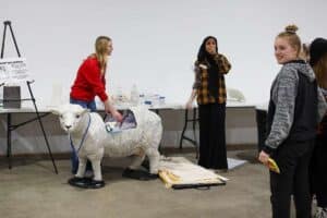 ag day 3.0 lamb