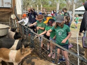 children petting pigs