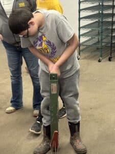 potato slicing