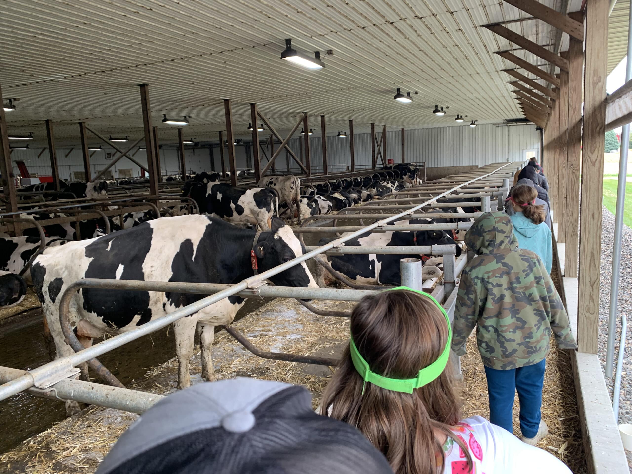 Students at Farm Camp
