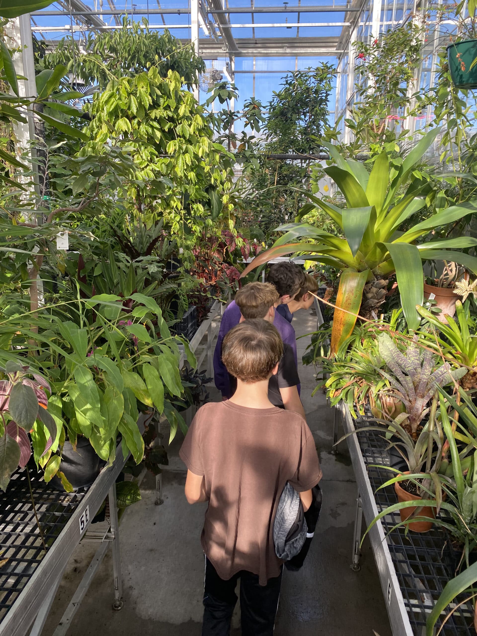 Students adventure in a green house during a recent Farm Camp experience.