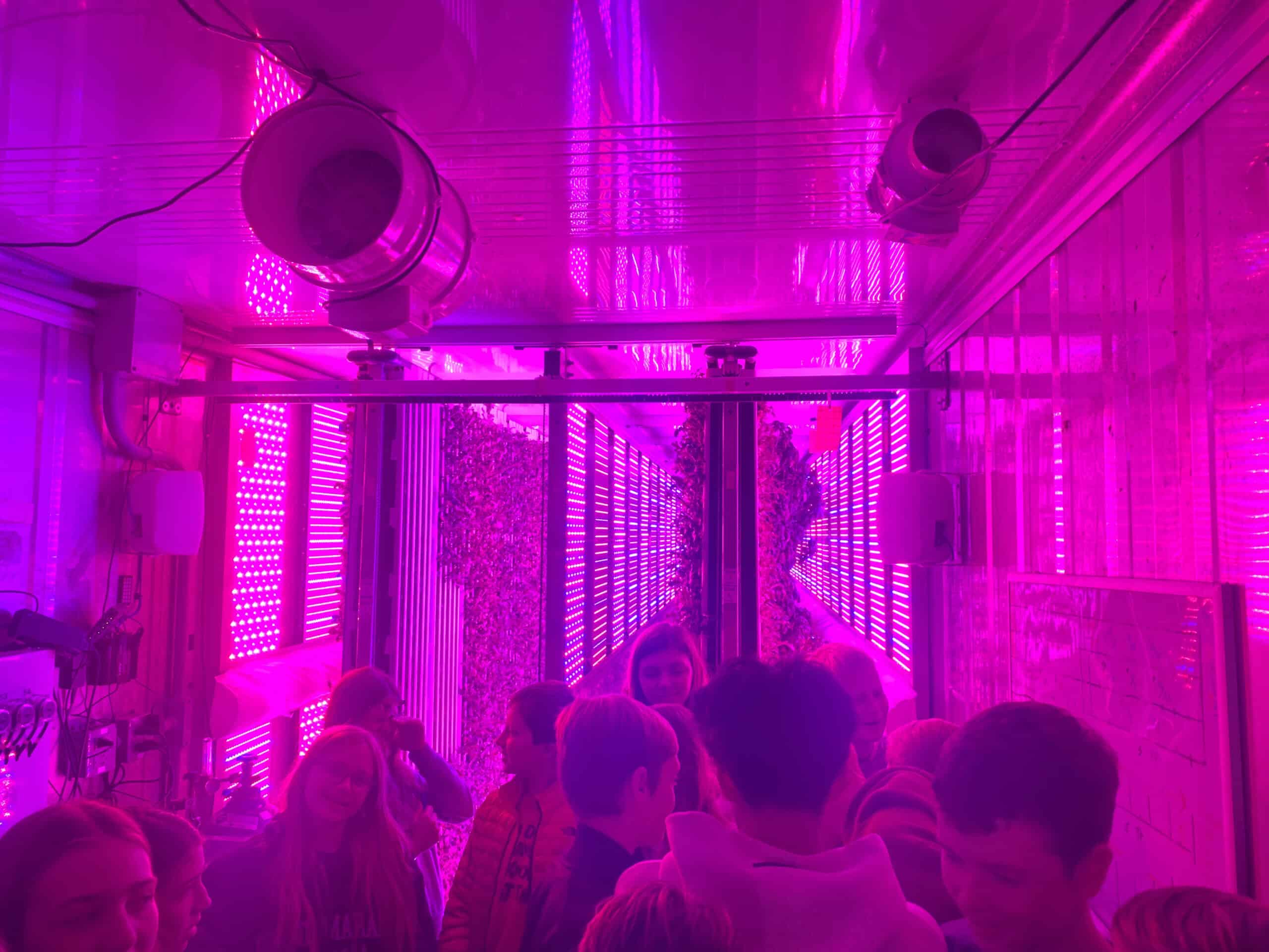 Students learn about Green House production during a Farm Camp experience.