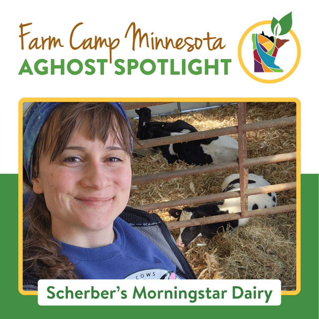 scherber's morngstar dairy