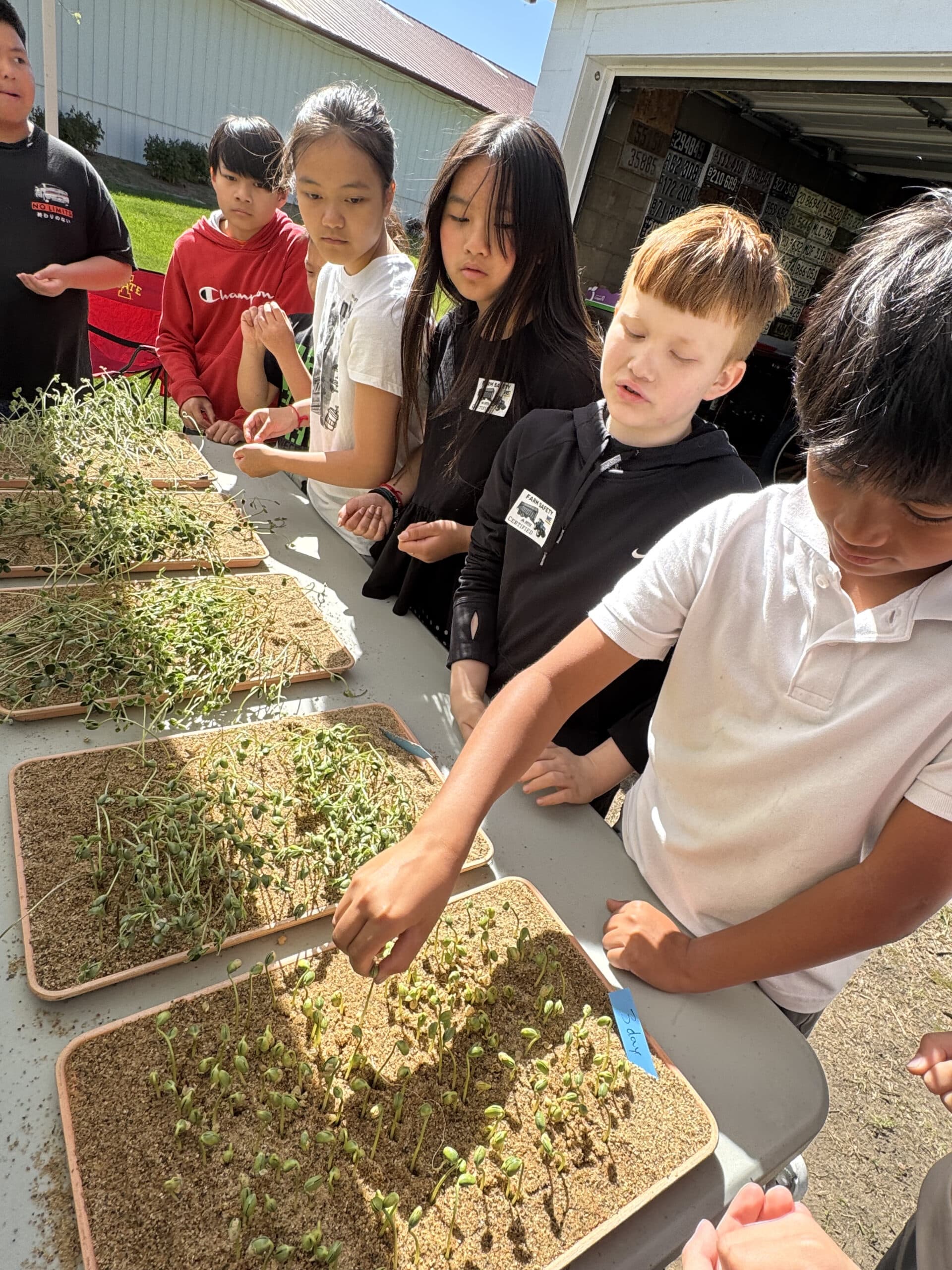 5th Grade Ag Day: Agriculture Safety Education Comes to Life