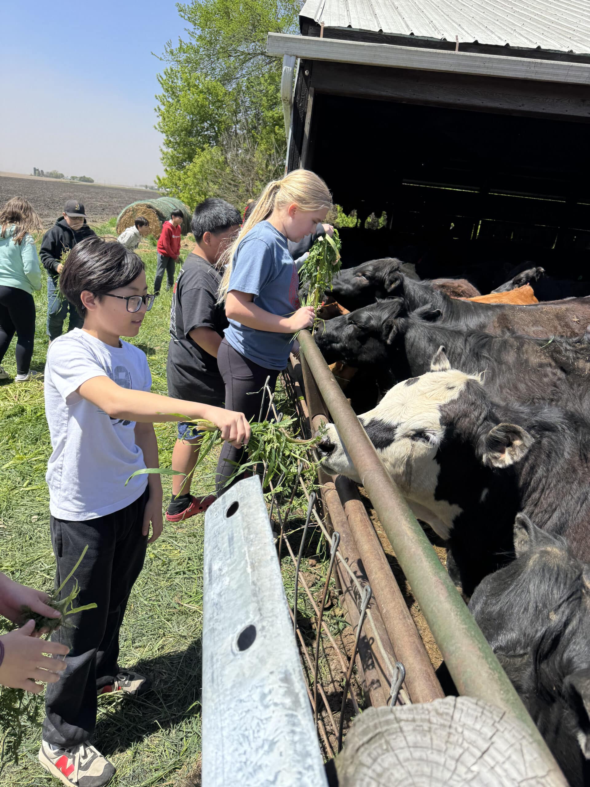 Students during 5th Grade Ag Day
