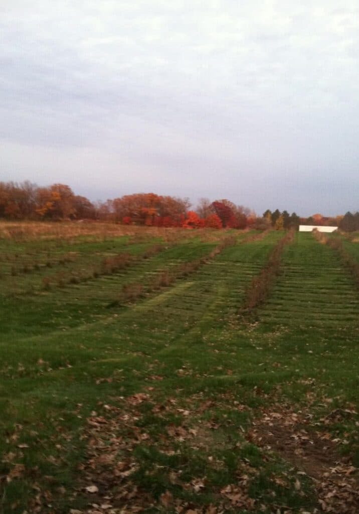 produce acres